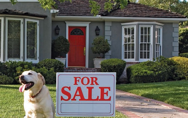 4 Things to Know About Buying a 'For Sale by Owner' Home